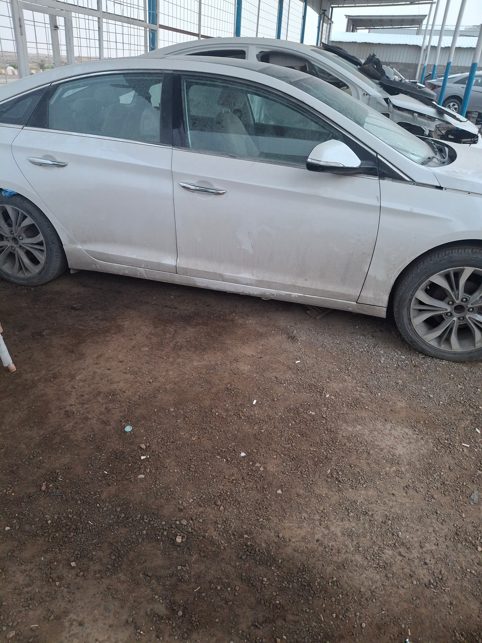 جنوط هوندا سونات كرم