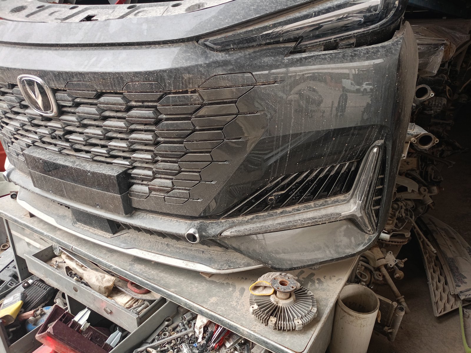 وجهي كاملة شنجان يون كيت